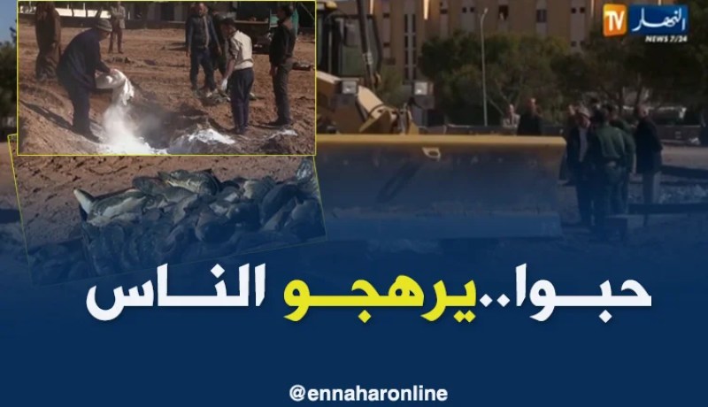 الجلفة: حجز كمية معتبرة من السمك الفاسد موجهة للإستهلاك