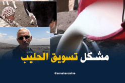 منتجو الحليب يعانون من صعوبة تسويقه في البيض