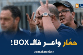 رؤساء أندية برتبة ملاكمين ..وحسان حمّار نجم الحلبة !