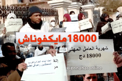 العمال المهنيون للتربية ينظمون وقفة احتجاجية بالبيض