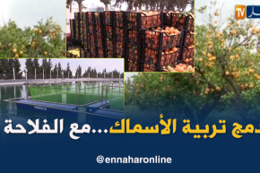 غليزان: إستغلال مياه تربية الأسماك في السقي..مزرعة”الأمل” نموذج تجربة ناجحة