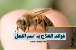 العلاج بسم النحل..علاج فعال لكثير من الأمراض