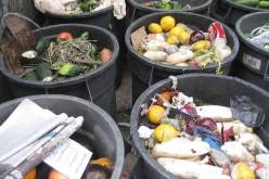 مديرة مدرسة تشتكي أن تلاميذها يأكلون من القمامة