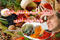 4 أعشاب طبيعية تقلل التوتر ولها فوائد جمة!!