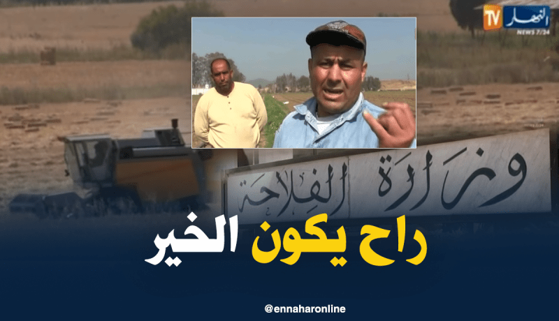 الجزائر ستحقق إكتفاءا ذاتيا من الشعير عام 2020