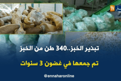 340 طن من الخبز تم جمعها في غضون 3 سنوات