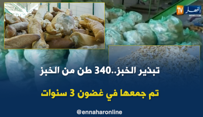 340 طن من الخبز تم جمعها في غضون 3 سنوات