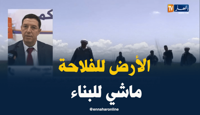 بيطام: لا يمكن إستغلال الأراضي الفلاحية لإقامة مشاريع أخرى