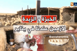 الخبز للتنبؤ بالعام الجديد بتيارت