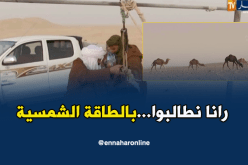 ورقلة: مربو الإبل يطالبون بتزويدهم بالطاقة الشمسية