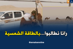 ورقلة: مربو الإبل يطالبون بتزويدهم بالطاقة الشمسية