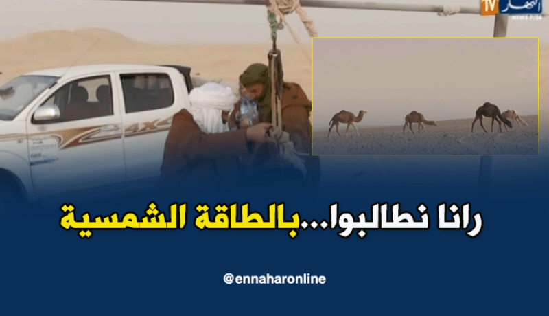 ورقلة: مربو الإبل يطالبون بتزويدهم بالطاقة الشمسية