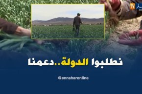 باتنة: منتجو الثوم يطالبون بتدخل السلطات لدعم إنتاجهم المحلي