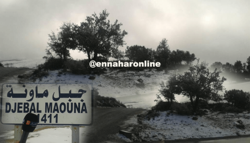 أعالي جبال “ماونة” بقالمة في حلّتها البيضاء