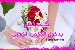 عشرينية يتيمة الأب تناشد رفيق الدرب