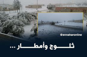 موفدة النهار إلى سعيد حمدين : تساقط الثلوج على المرتفعات الوسطى و الشرقية إلى غاية التاسعة ليلا