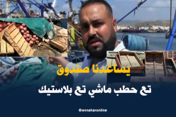 صناديق خشبية ملوثة لشحن السمك بعين تيموشنت