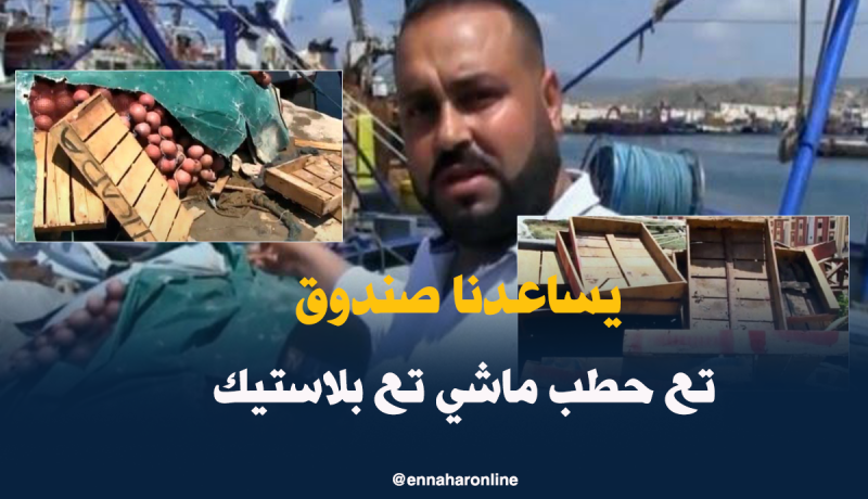 صناديق خشبية ملوثة لشحن السمك بعين تيموشنت