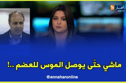 مسعود بوديبة: ماشي حتّى نوصلوا لمشكلة الإضراب..باش نخمّموا في مصلحة التلميذ!!”