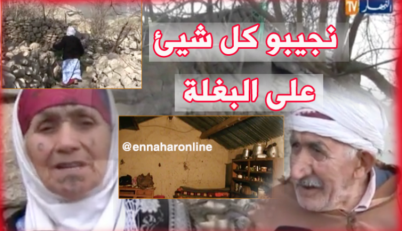 سكان دوار الكدس بقالمة يناشدون السلطات للنظر في وضعيتهم