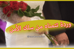 جامعية تحلم بزوج من الأسلاك الأمنية