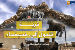 شباب منبع الغزلان يحول قريته لفسيفساء بمجهوداته وإمكانيته الخاصة