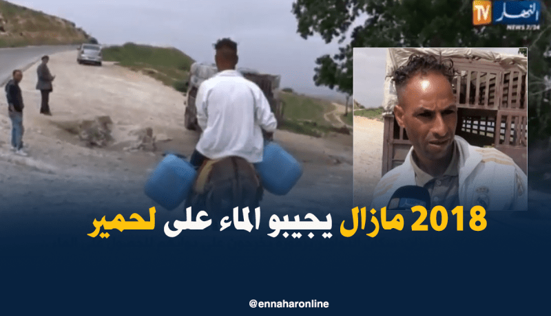 الحمير لجلب الماء في المناطق النائية بغليزان
