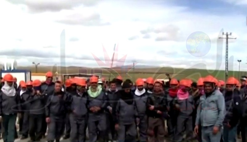 بالفيديو مؤامرة خطيرة يعيشها العامل الجزائري داخل شركة كورية