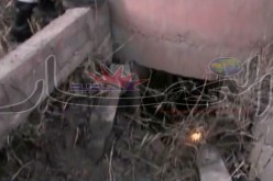 العثور على الطفلة صفية جثة هامدة في المسيلة