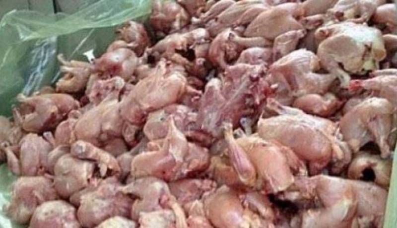أمن أرزيو يحبط تسويق أكثر من 8 قناطير لحوم فاسدة بوهران