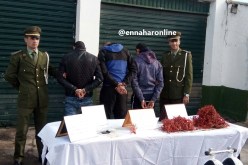 توقيف 3 أشخاص وحجز قرابة 5 كلغ من المرجان في الطارف
