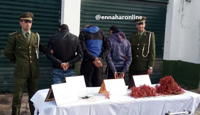 توقيف 3 أشخاص وحجز قرابة 5 كلغ من المرجان في الطارف