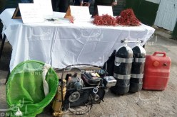 توقيف 4 غطاسين وحجز أجهزة لصيد المرجان بالقالة