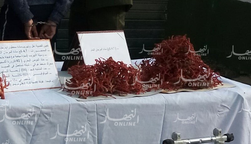  توقيف غطاسين تونسيين وحجز معدات خاصة بنهب المرجان بالقالة