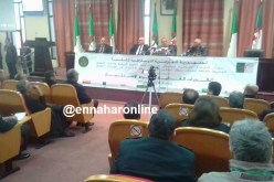 بوعزقي:”الاستثمار بقطاع الغابات منعدم”