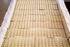 إحباط محاولة تهريب 1580وحدة “colpotrophine” في مطار سطيف