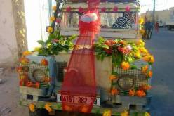 الوادي فلاح يزف عروسه بسيارة لنقل البطاطا