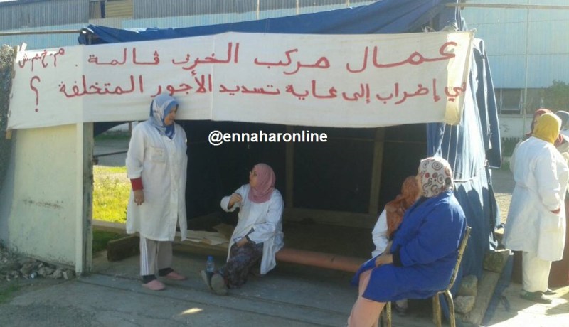 عمال مركب الخزف بقالمة في إضراب عن الطعام