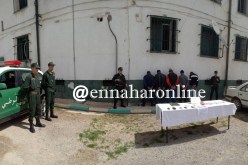 تفكيك شبكة مختصة في سرقة المواشي بعين تموشنت