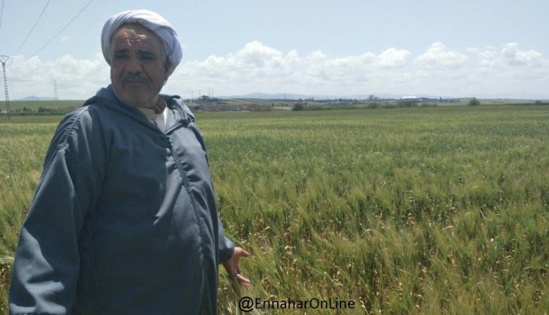 النيابة العامة تفتح تحقيقا حول قضية التعدي على الأراضي الفلاحية