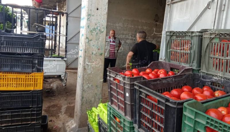 بولنوار: “توزيع 250 طن من الخضر والفواكه خلال الأسبوع الأوّل من رمضان”