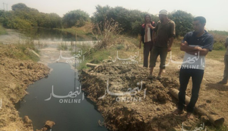 النهار تقف على كارثة بيئية و بيولوجية خطيرة في الطارف