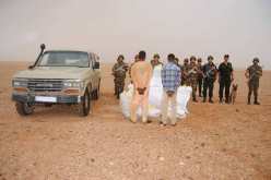 الجيش يوقف 20 مهربا و06 أكياس من خليط الذهب بتمنراست و برج باجي مختار