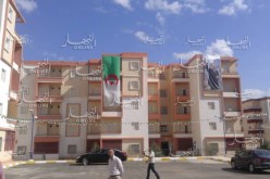 طمار : “ستعتمد على انتهاج تفكير جديد يعتمد على اليد العاملة الجزائرية”