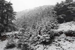 تساقط الثلوج على المرتفعات الغربية التي يصل علوها إلى 900 متر