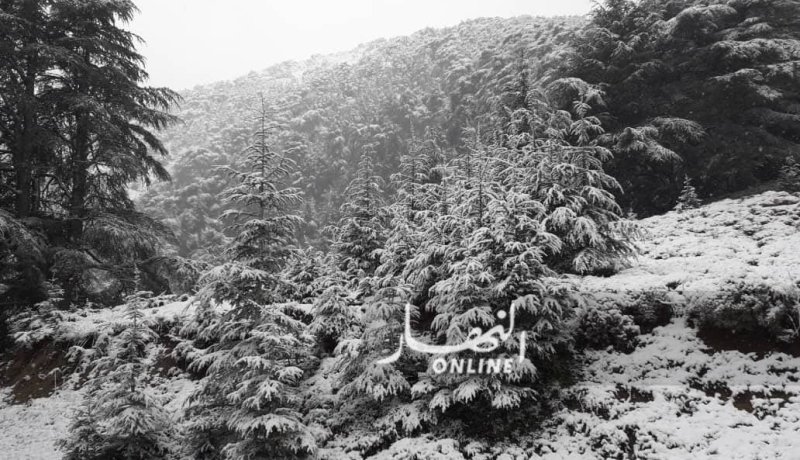 نشرية خاصة تحذر من ثلوج على مرتفعات 900 م في هذه الولايات