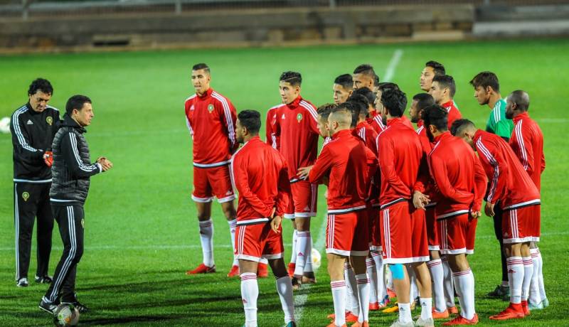المغرب يستعين بالخيول تحضيرا لمباراة الجزائر