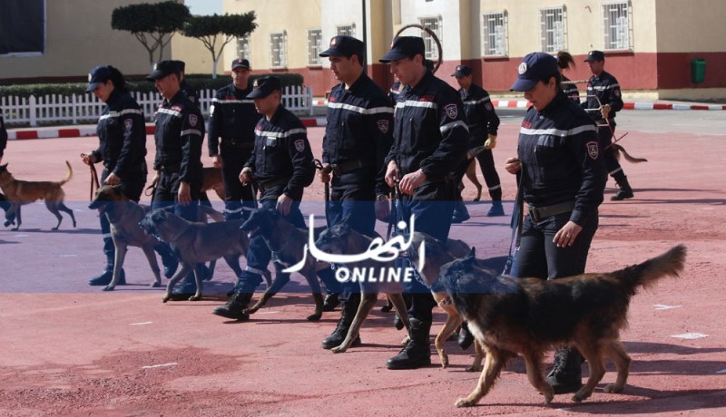 دورات تكوينية وتدريبية للحماية المدنية في الأخطار النووية الإشعاعية