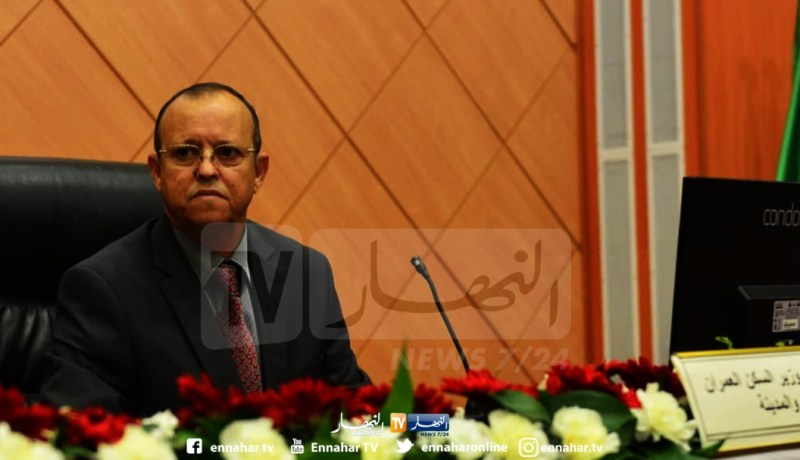 ناصري: صيغة سكنية جديدة تضمن مليون وحدة سكنية في 2024