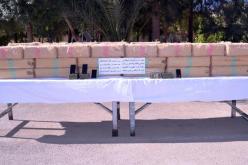 توقيف 866 بارون مخدرات وحجز أزيد من 345 قنطار زطلة خلال 6 أشهر